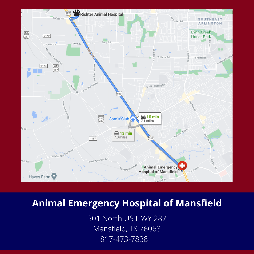 Richter Animal Hospital & Pet Resort - Veterinarian In Arlington, TX USA ::  EMERGENCY HOSPITALS